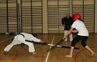bojutsu35.jpg